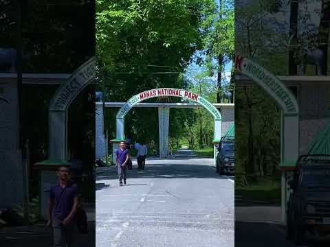 Manas National Park | Assam