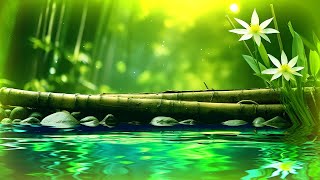3 Hours: Zen Bamboo Healing, Flute Meditation Music | Soothes the Nervous System & Eliminates Stress