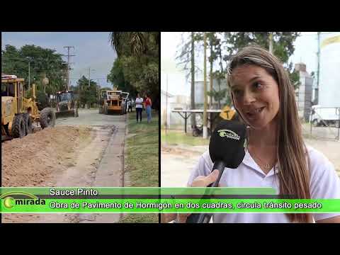 SAUCE PINTO - ENTRE RÍOS