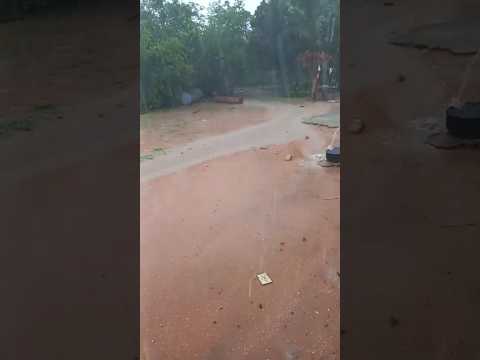 Chuva em Alagoinha do Piauí-PI 28/02