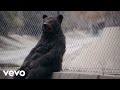 Grizfolk - The Struggle (Official Video) 