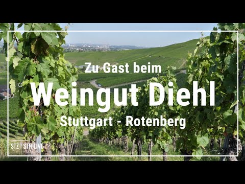 Online-Weinprobe Weingut Diehl