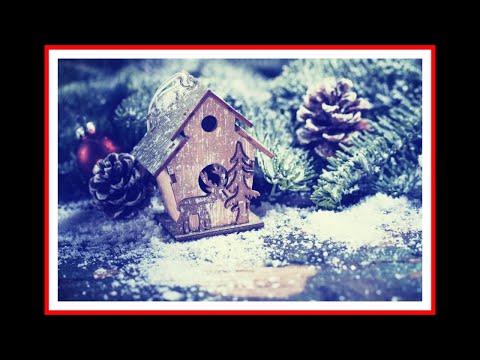 Sasa Lendero - Bozic je, feat. Cuki