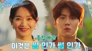 갯마을 차차차
