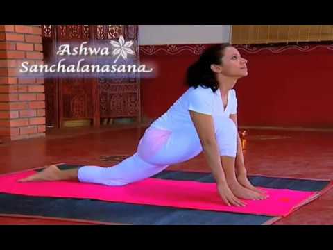 Art of Living: Sun Salutation (Surya Namaskara)