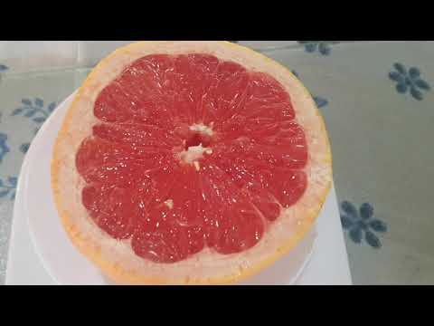 download lagu mp3 mp4 Toranja, download lagu Toranja gratis, unduh video klip Toranja