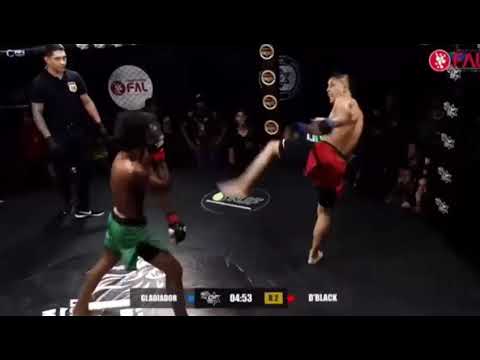 PAULO HENRIQUE PROMETE NEUTRALIZAR O GLADIADOR !!! | LIONS FIGHTS