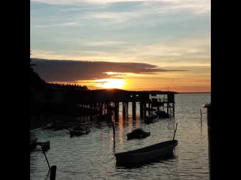 Suzie Lalokau - Blood 5 ft Jnr Vigi