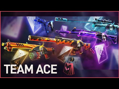 NEW BUNDLE / TEAM ACE