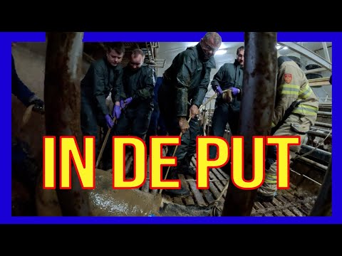 Kalf in de put - VOLUNTEERS DUTCH FIREFIGHTERS -