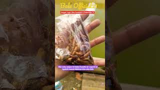 Download lagu TESTER UMPAN DICAMPUR PERANGSANG IKAN KHUSUS BAWAL !!! #bawal #umpanjitu mp3