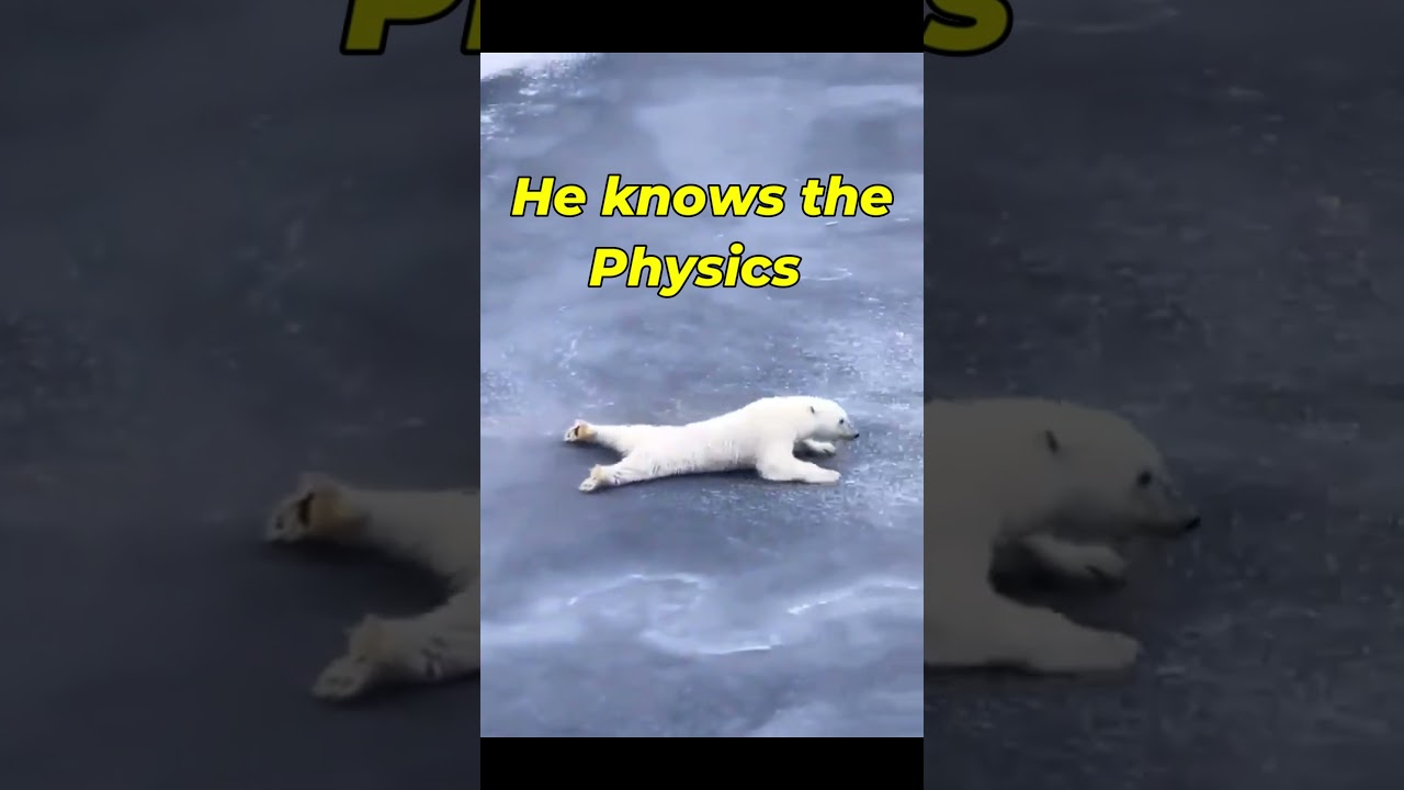 how animals use physics #vigyanrecharge