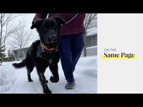 On The Same Page Episode 441