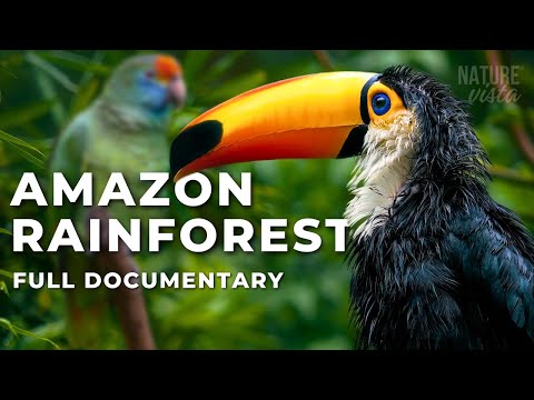 THE GREAT AMAZON | An Extraordinary Journey - Full Documentary