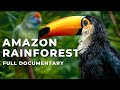 THE GREAT AMAZON An Extraordinary Journey Full Documentary