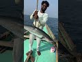 Fish Fisherman ️ Beachfishing Fishing Fishingmethods Fishingtechniques Fishing