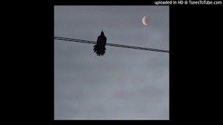 Kirk Knight - Take That