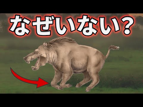 有蹄動物 - 意味、特徴、例