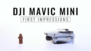 DJI Mavic Mini First Impressions