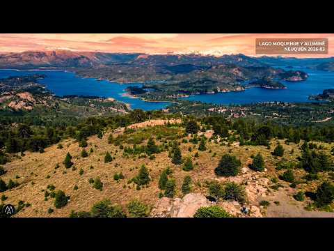 VILLA PEHUENIA 2026 03 buscando aves en la nieve