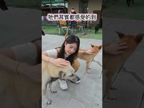 培培-網紅與善的距離 - 第2集《貓狗知道》投票區
