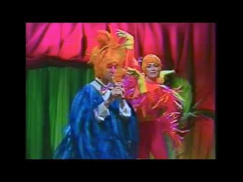 Passarinho, que som é esse? - Flauta Doce