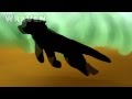 Warrior Cats Opening -ANIMATION- [HD] 