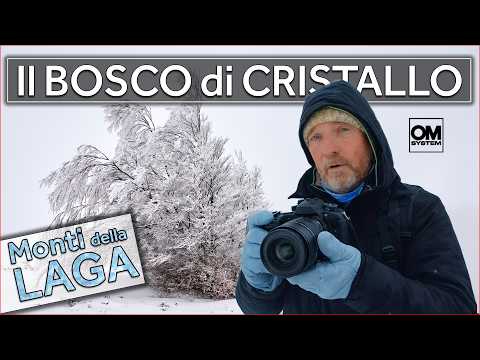 How to Photograph Trees in Winter - Abruzzo, Monti della Laga
