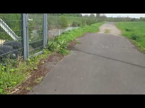 Schild Irrsinn - An Lippe in Hamm - Auf Deich laufen verboten - unten Geh-/ Radweg - Wird ignoriert