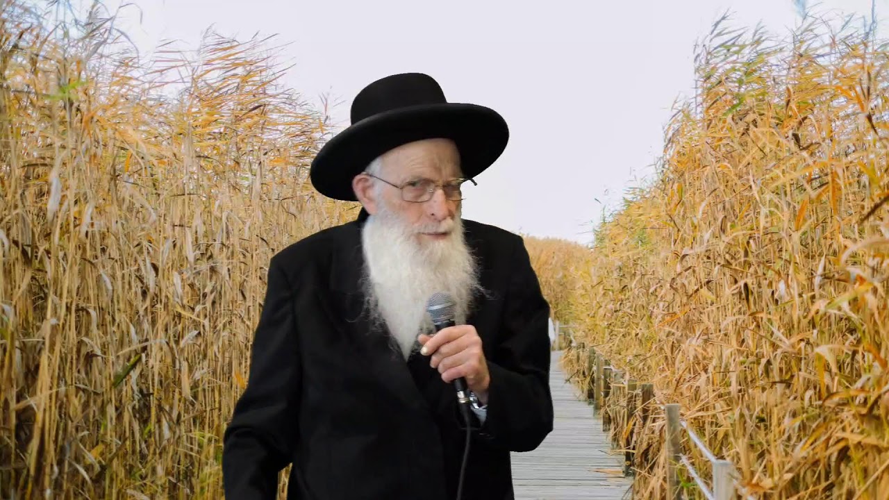 יום שכולו תורה עם מיטב הרבנים בארץ - חיזוק ענק לנשמה