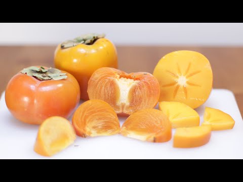 YouTube video about: Can horses eat persimmons?