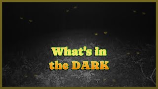 Critters that lurk around the FOOD PLOT at NIGHT