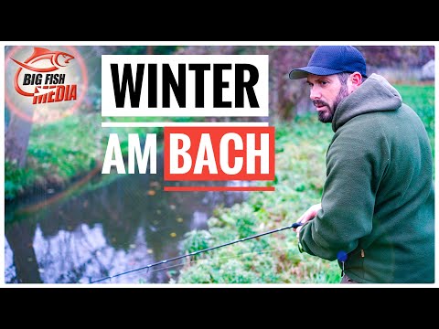 Das Geheimnis des Erfolgs im Winter?! - Unterwegs am Bach mit Christian