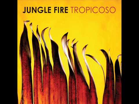 JUNGLE FIRE - VILLAGE HUSTLE