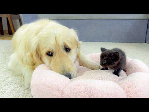YouTube 썸네일
