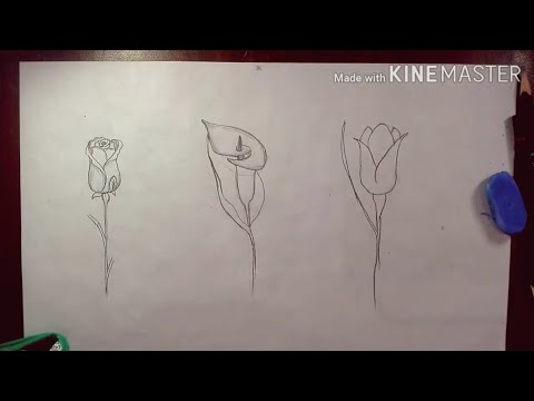 How to draw 3 types of flower | flower sketch | for beginners.