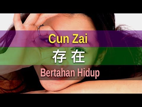 Cun Zai 存在 - Lei Ting 雷婷 (Bertahan Hidup)