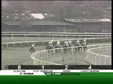 04/09/2012, Roma , Premio Ola