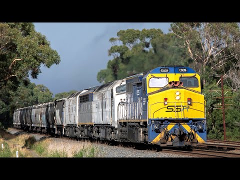 SSR C Class Back in Victoria! (SSR's 7MC5 to Coolamon) C505, CLF3, S311, CLP12