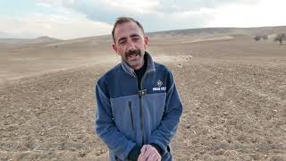 baskan buyukkilicin projesi ile kirsalda koyun sayisi artti meralar canlandi