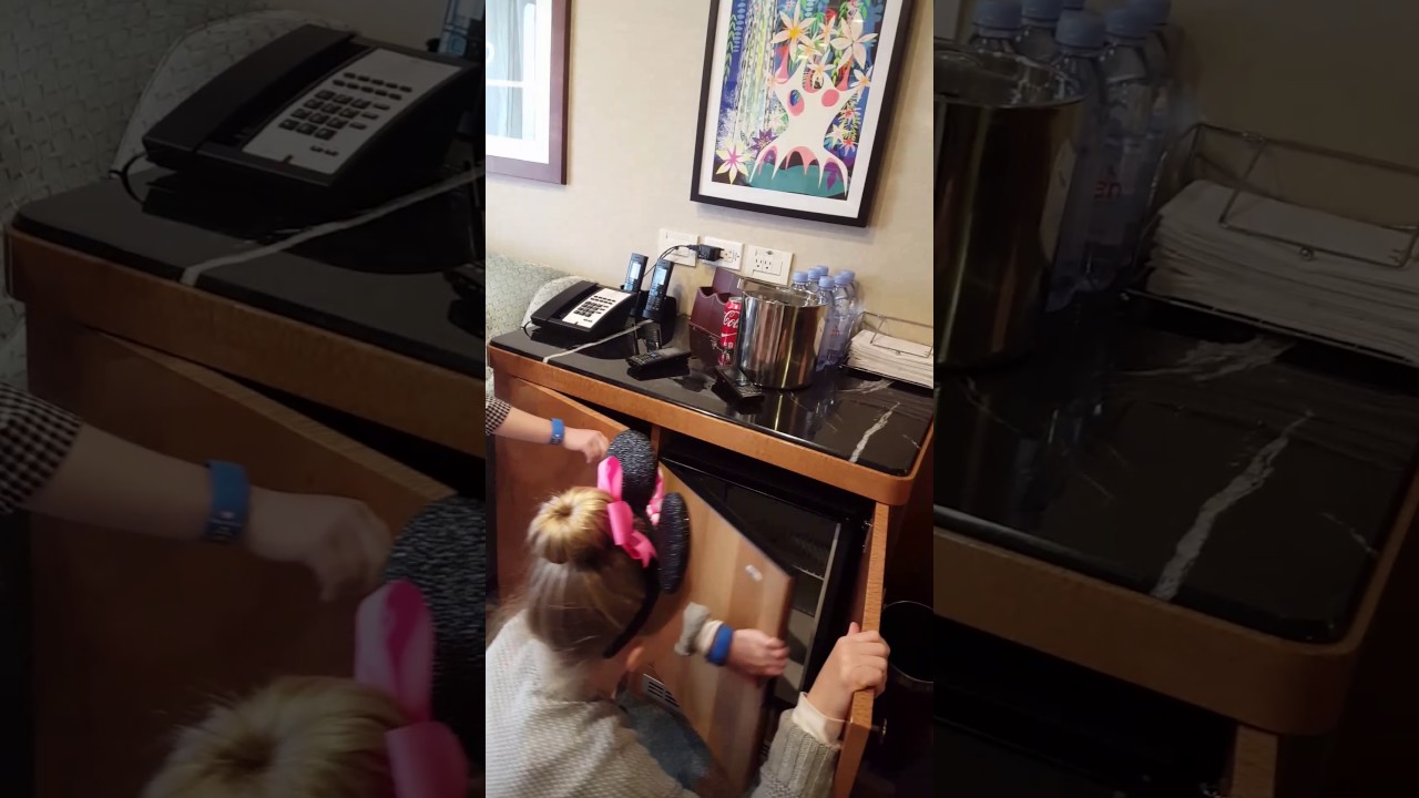 Disney Wonder - Cabin 8102 - Video 2