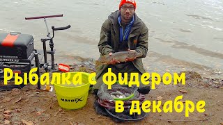 Брик отчеты о рыбалке людвиново