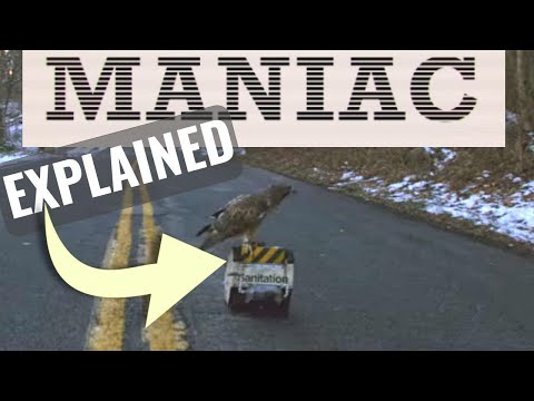 The Hidden Meaning in Maniac