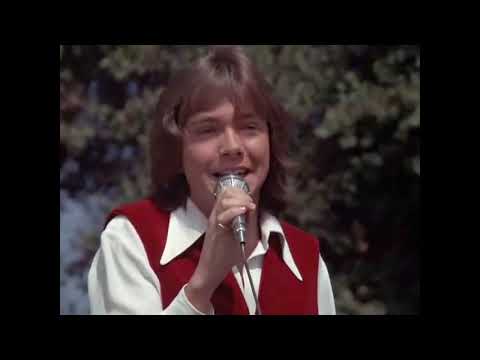 David Cassidy "Breaking Up Is Hard To Do" HD Remastered Partridge Family 70s Legend.