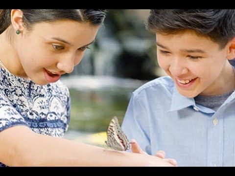 Butterfly Wonderland - Customer Success Story