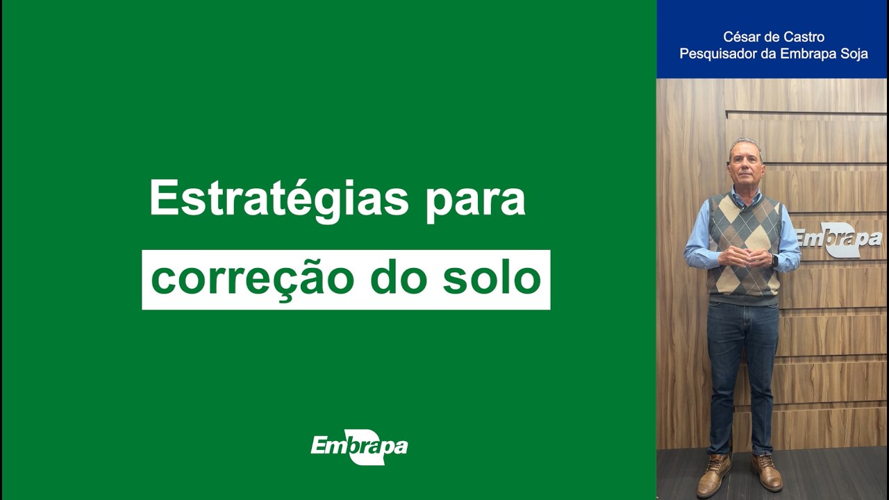 Estratégias para a correção do solo