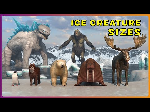 How BIG are ARCTIC Animals? 🐳 Real vs Movie Ice Creatures Size Comparison 3D ❄️