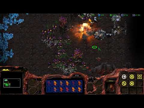 To Slay the Beast | StarCraft: Brood War (Zerg #8)