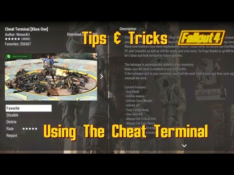 Using The Cheat Terminal...Or Not