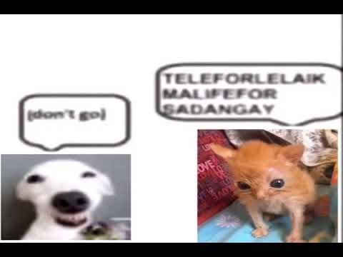 i will never emotionally recover from these powerful lyrics